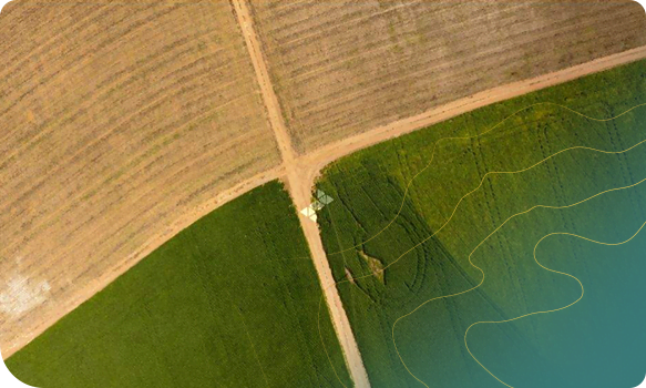 Mapeamento drone na agricultura 