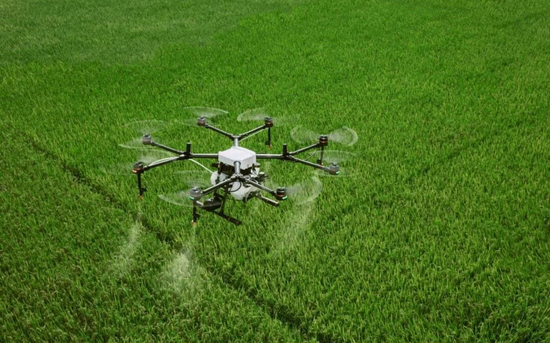 Quantos hectares um drone pulveriza por dia?