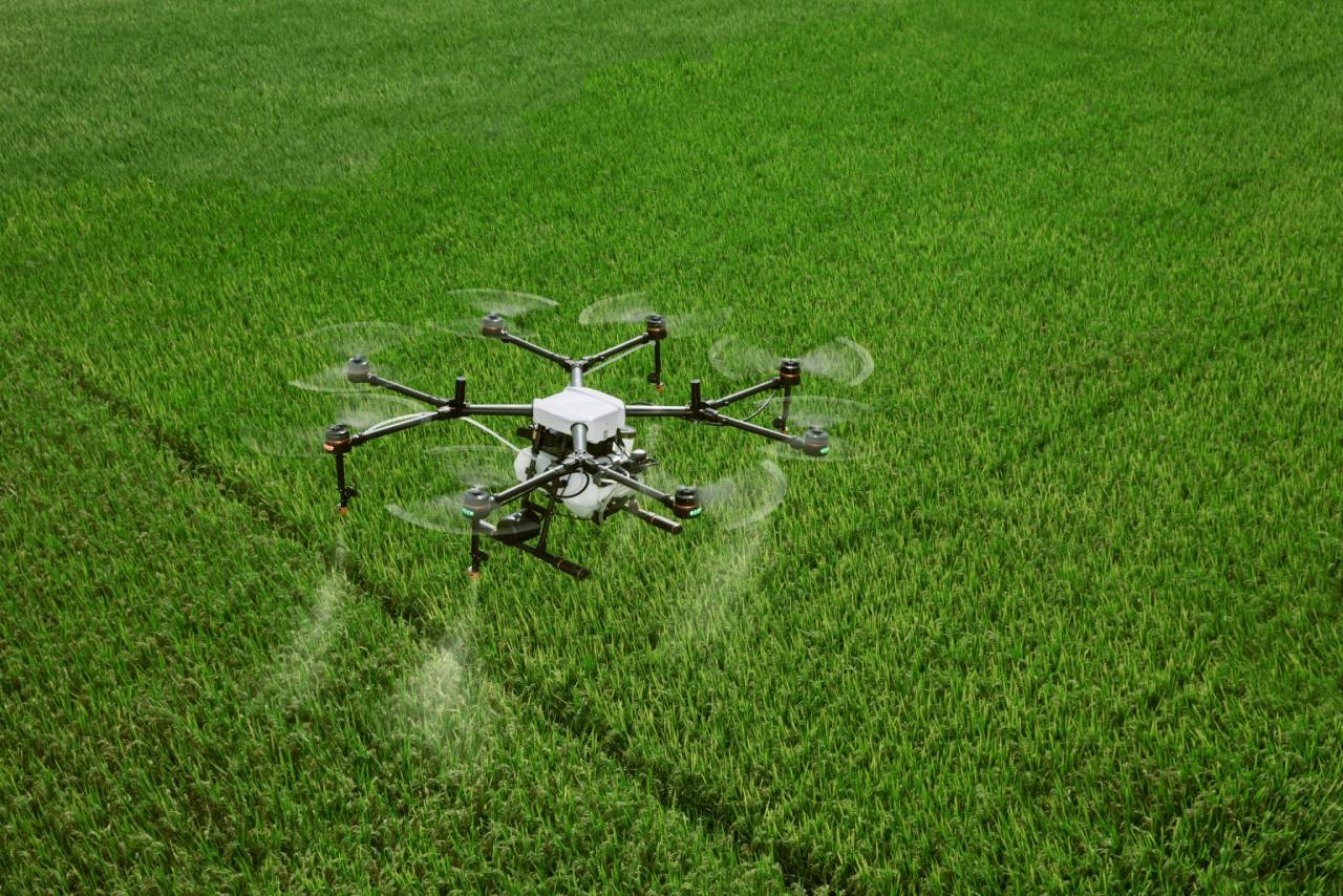 Drone pulverizando hectares de plantação