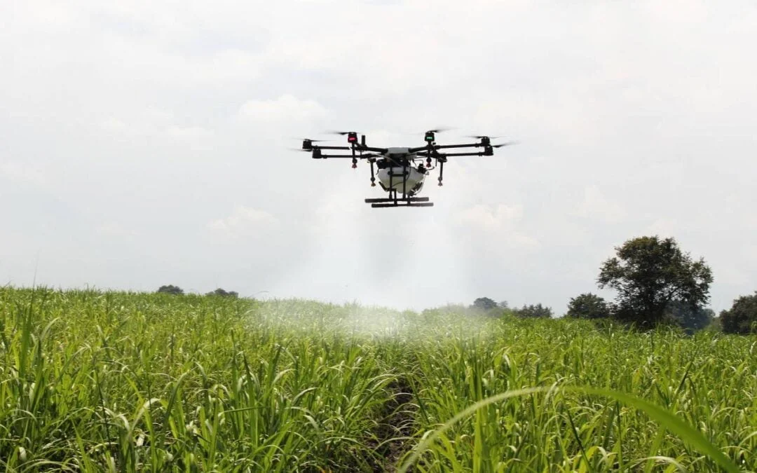 Quanto custa a pulverização com drone?