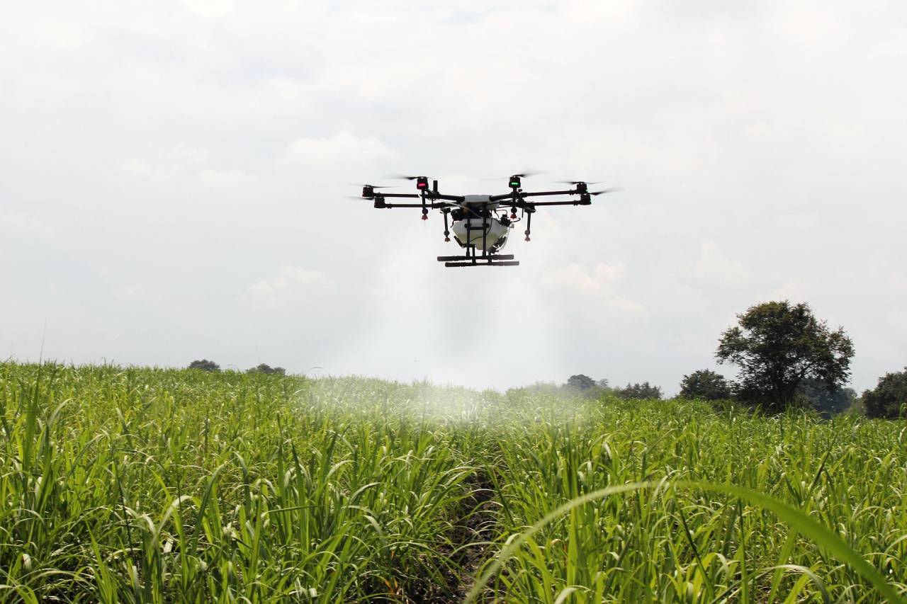 Drone realizando pulverização na vegetação