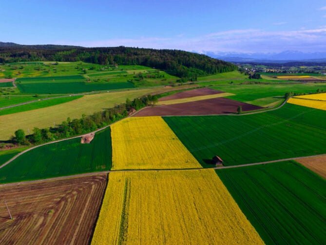 Topografia com drone na agricultura possibilita a obtenção de imagens ricas em detalhamento